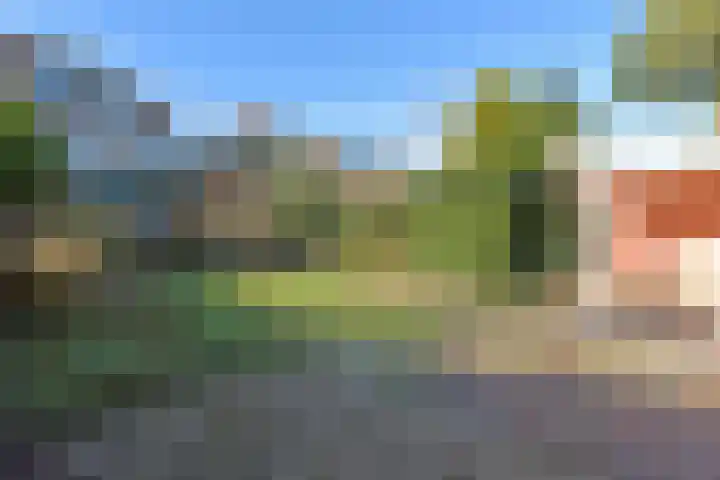 Boddens Hosangweg 23 Woubrugge thumbnail 31