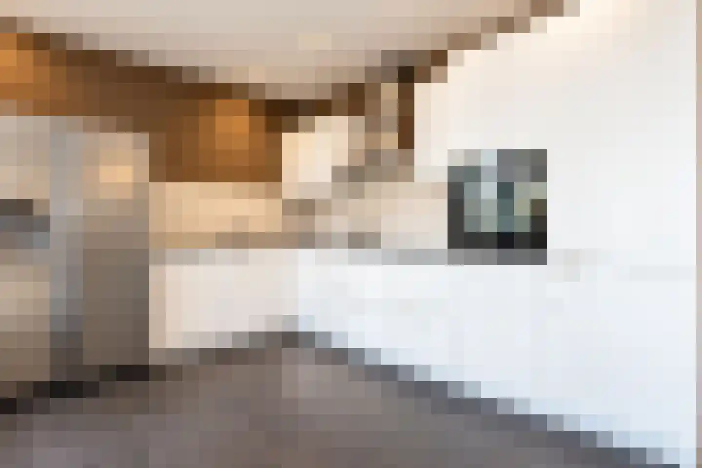 Boddens Hosangweg 60 Woubrugge thumbnail 10