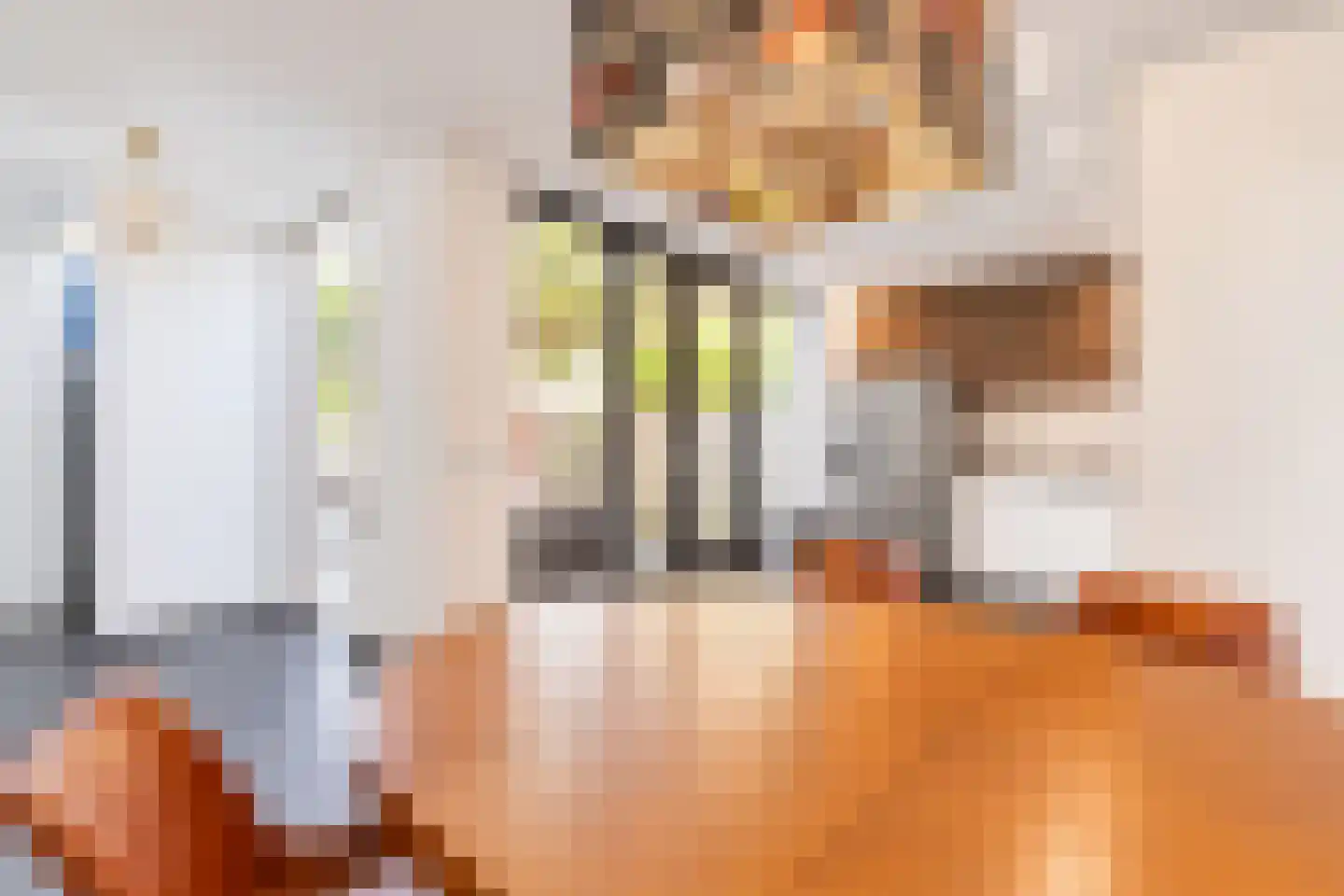 Boddens Hosangweg 60 Woubrugge thumbnail 13