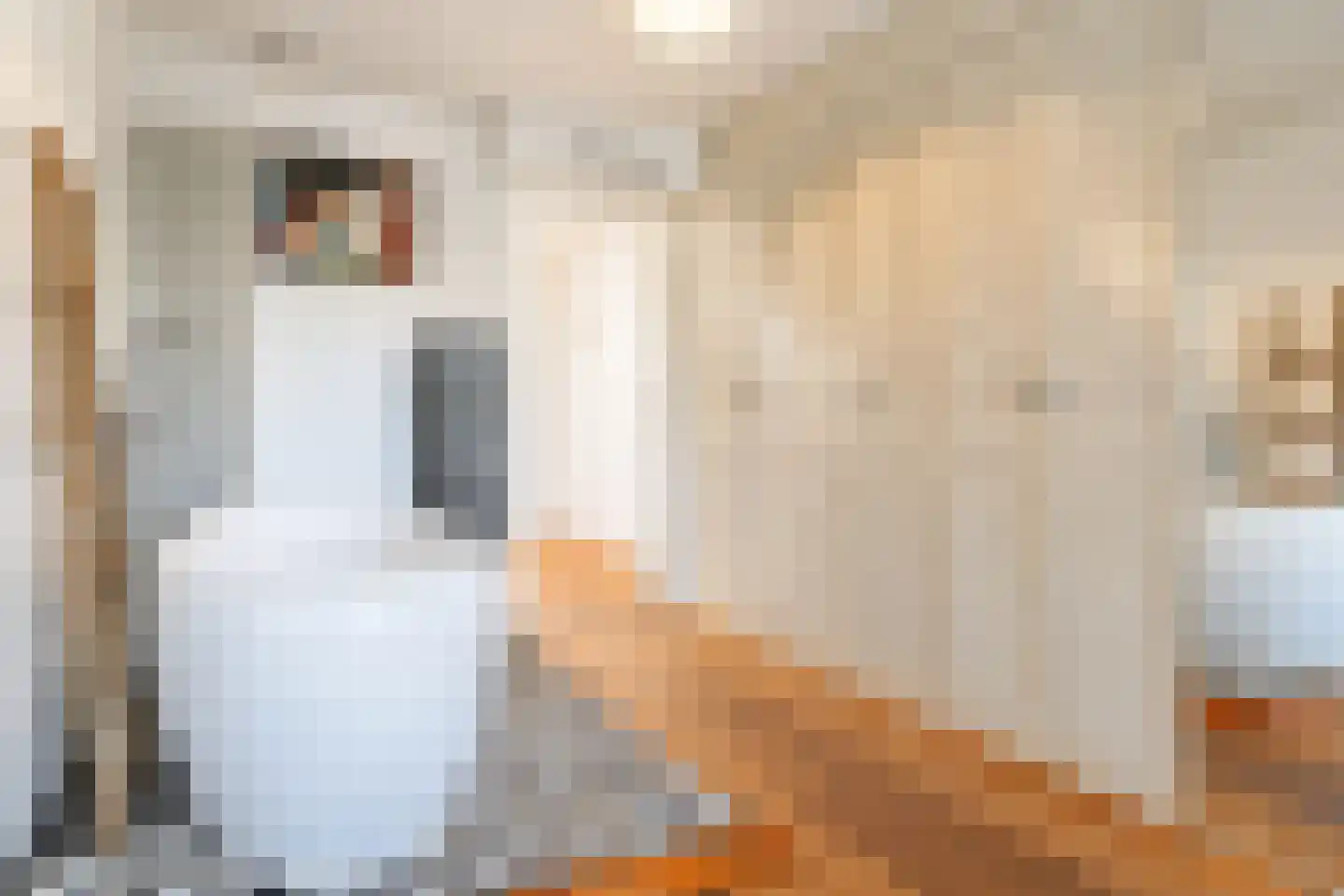 Boddens Hosangweg 60 Woubrugge thumbnail 35
