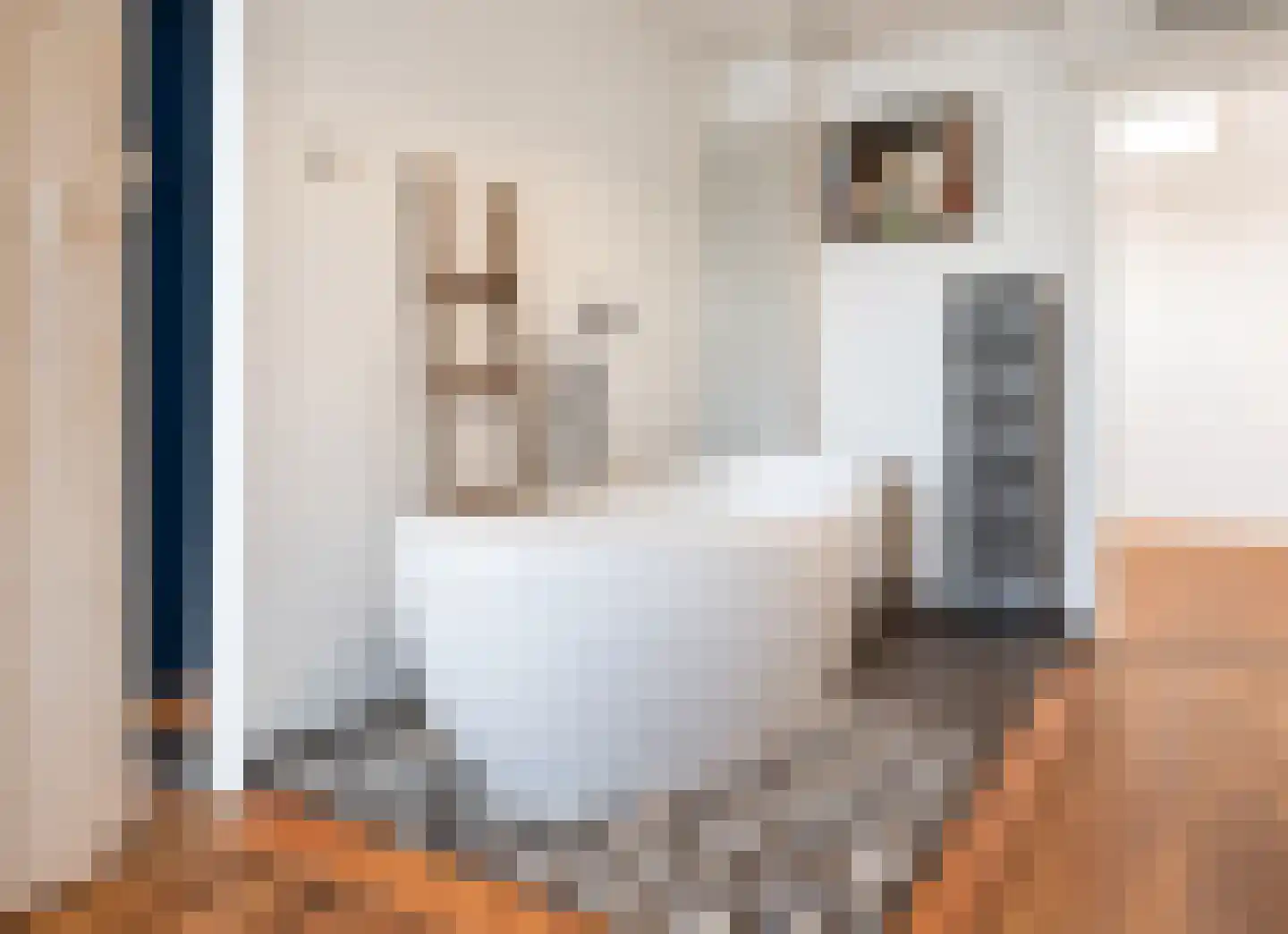 Boddens Hosangweg 60 Woubrugge thumbnail 36