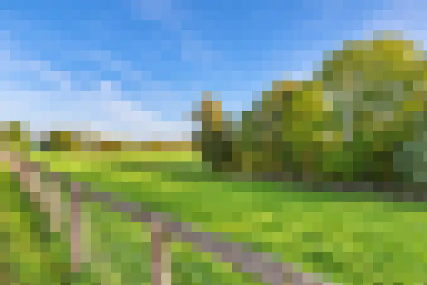 Boddens Hosangweg 60 Woubrugge thumbnail 48