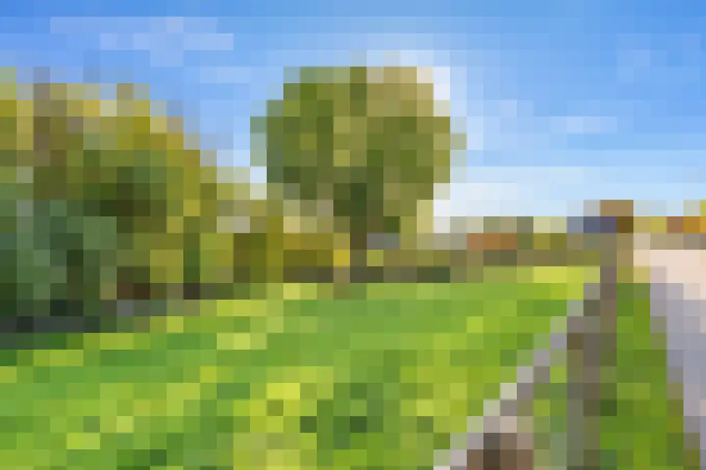 Boddens Hosangweg 60 Woubrugge thumbnail 49