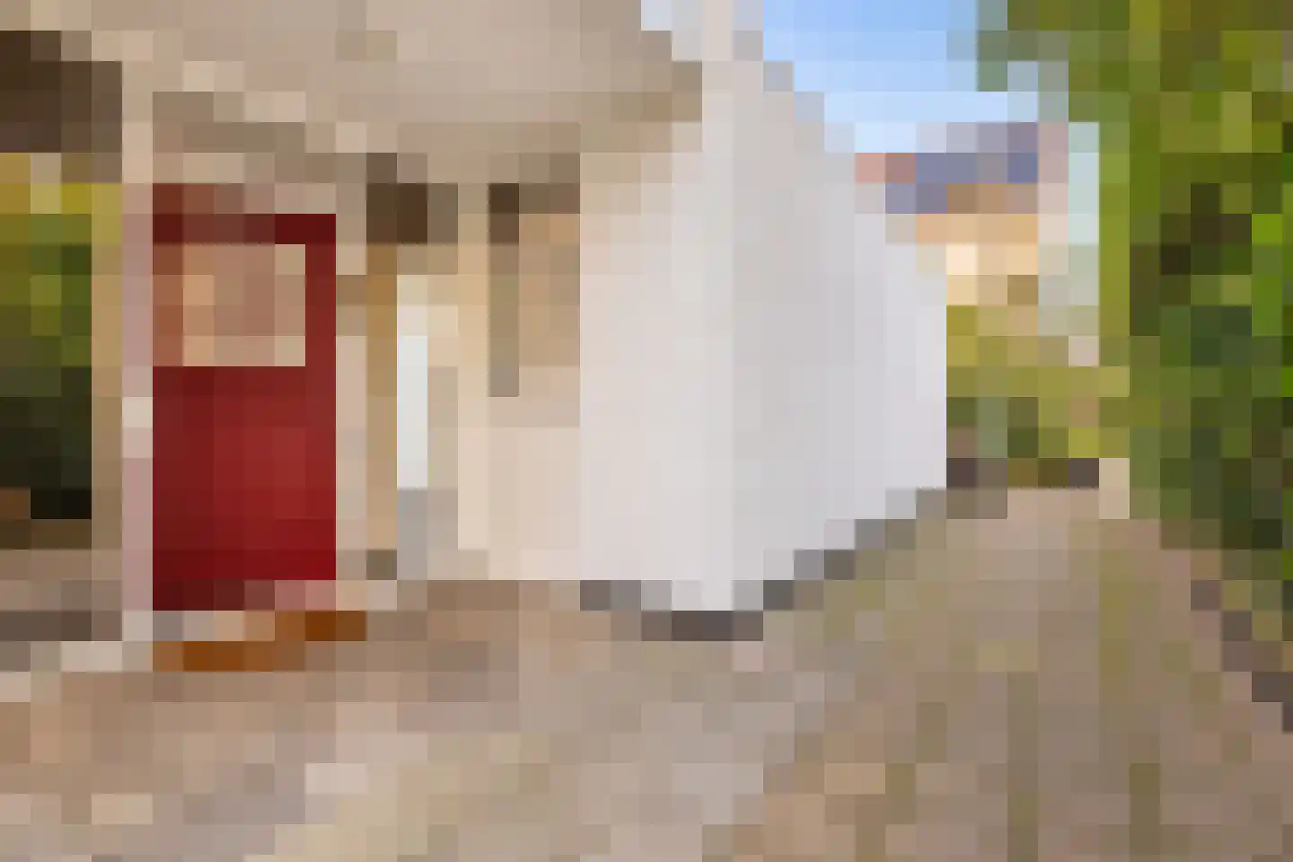 Boddens Hosangweg 60 Woubrugge thumbnail 7