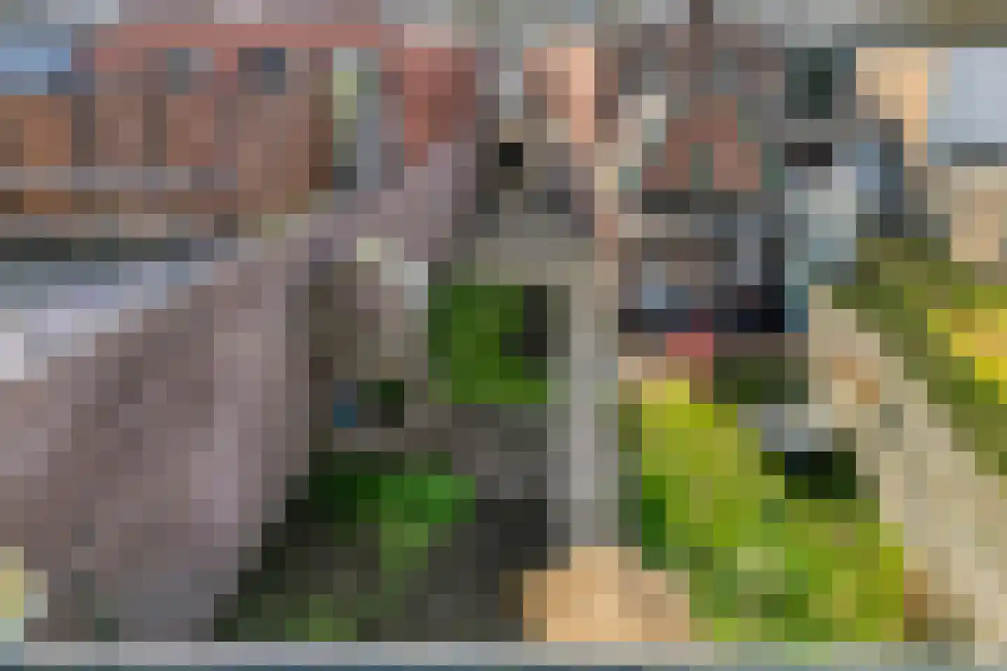 Boddenstraat 30 Almelo thumbnail 36