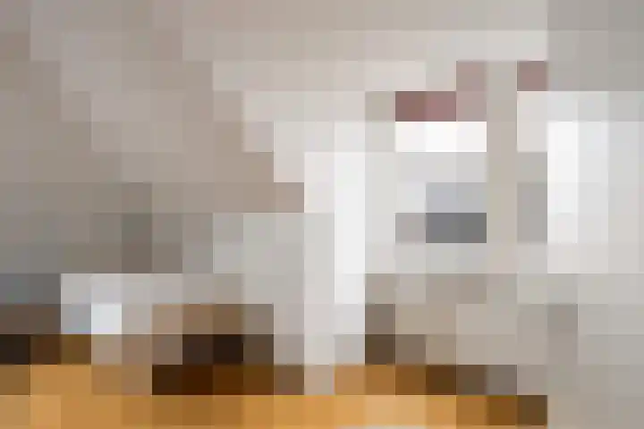 Bodelohof 6 Bodegraven thumbnail 56