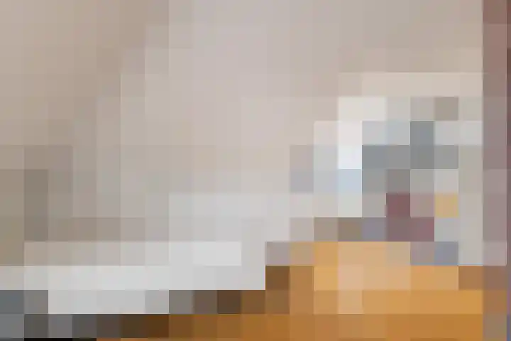 Bodelohof 6 Bodegraven thumbnail 58