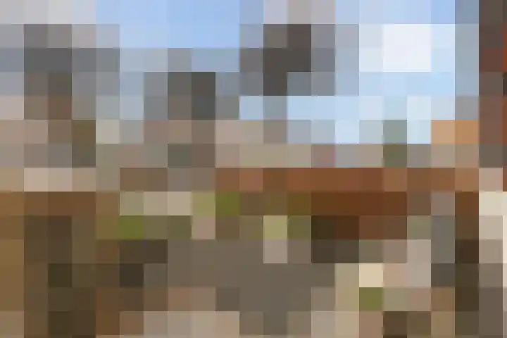 Bodelohof 6 Bodegraven thumbnail 9