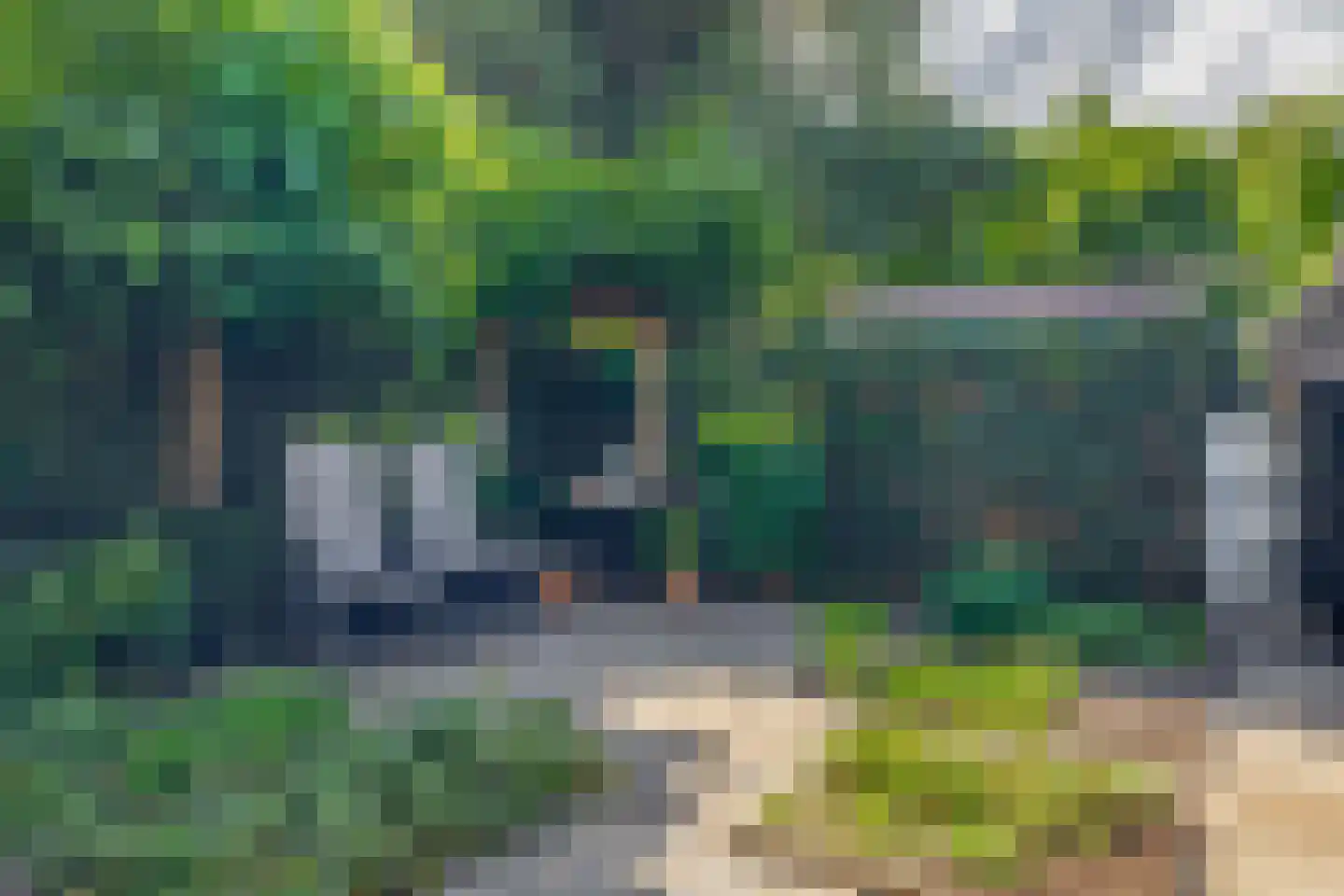 Bodelolaan 25 Bodegraven thumbnail 24
