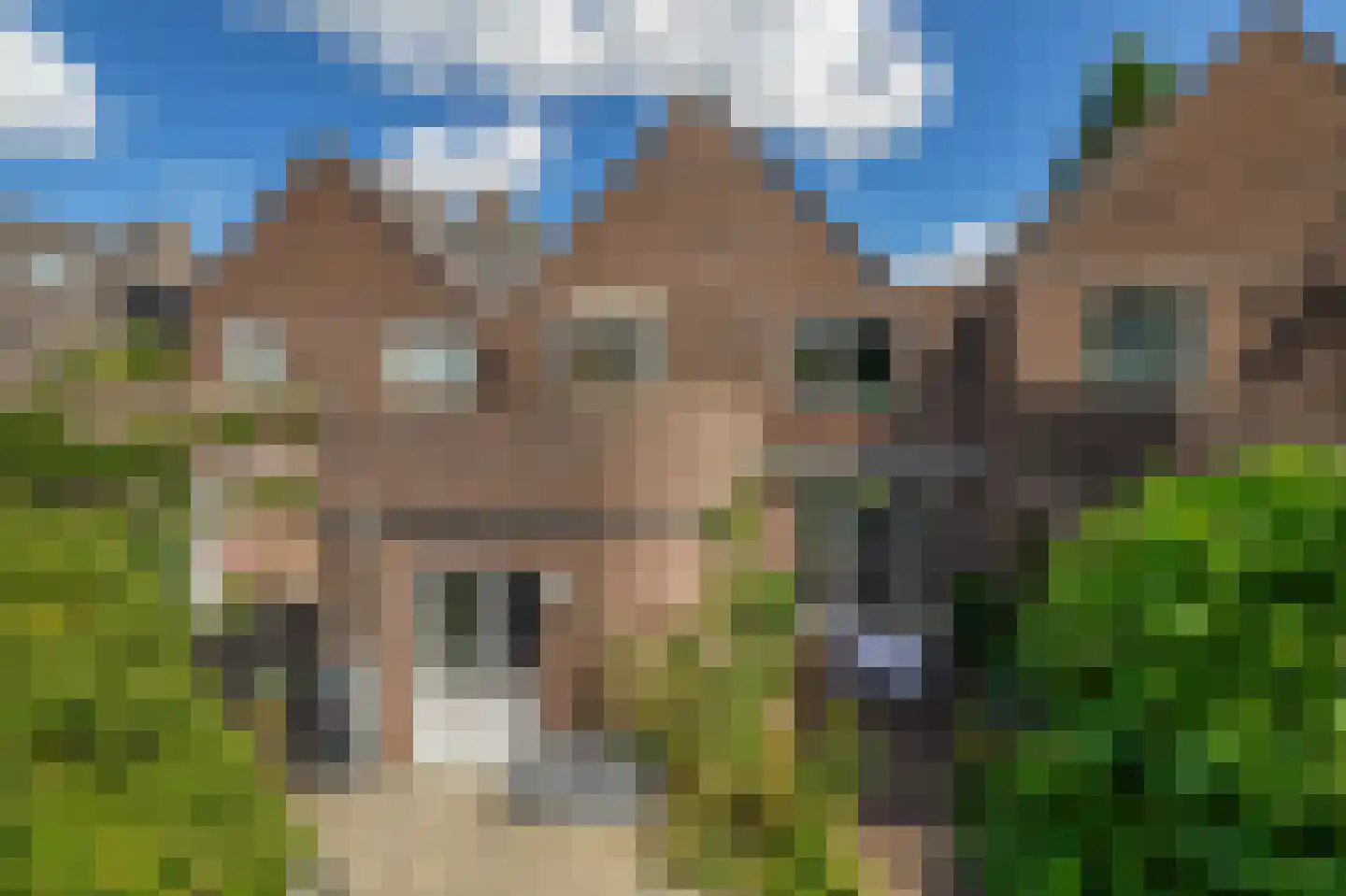 Bodelolaan 25 Bodegraven thumbnail 26