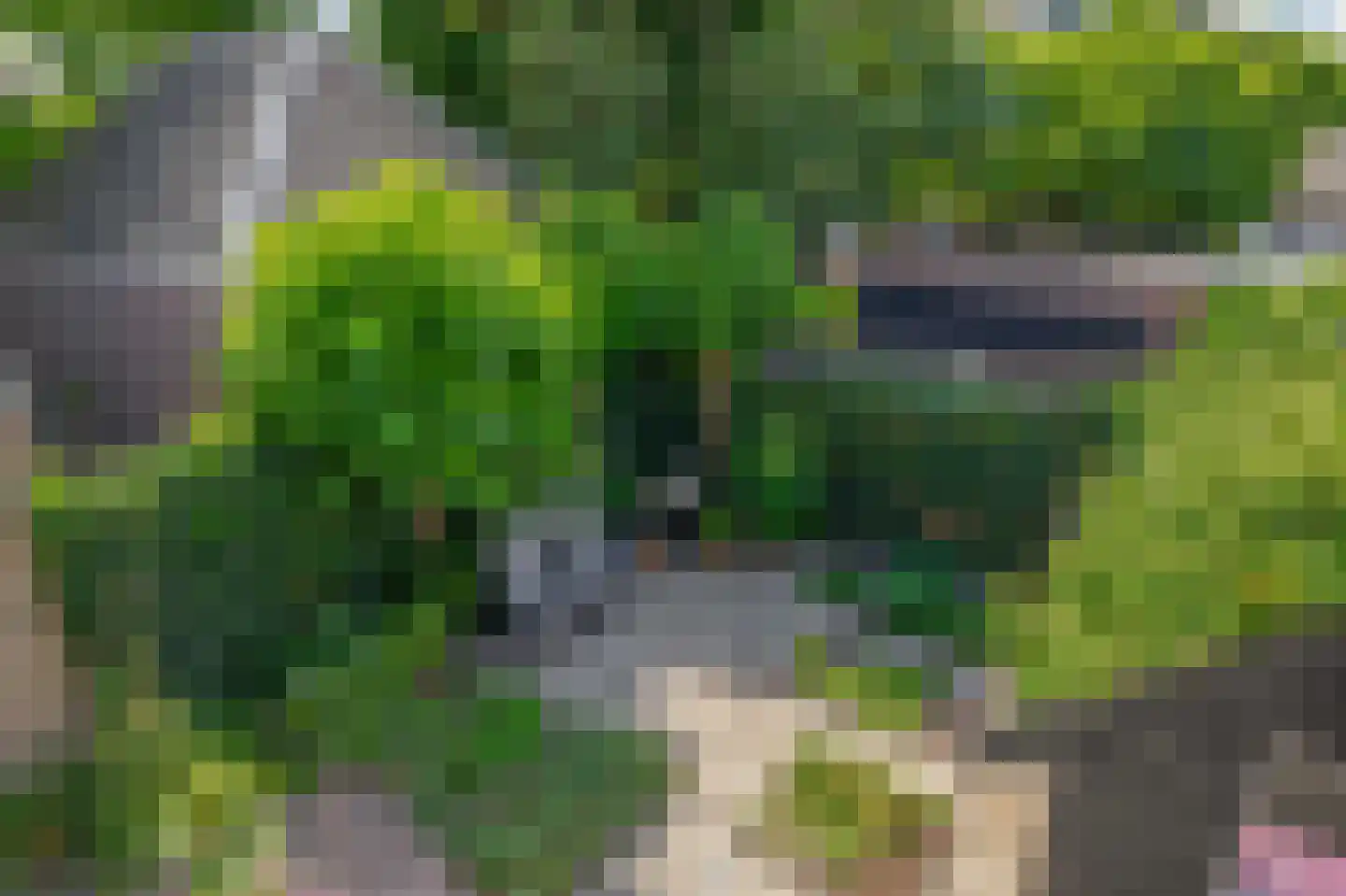 Bodelolaan 25 Bodegraven thumbnail 31