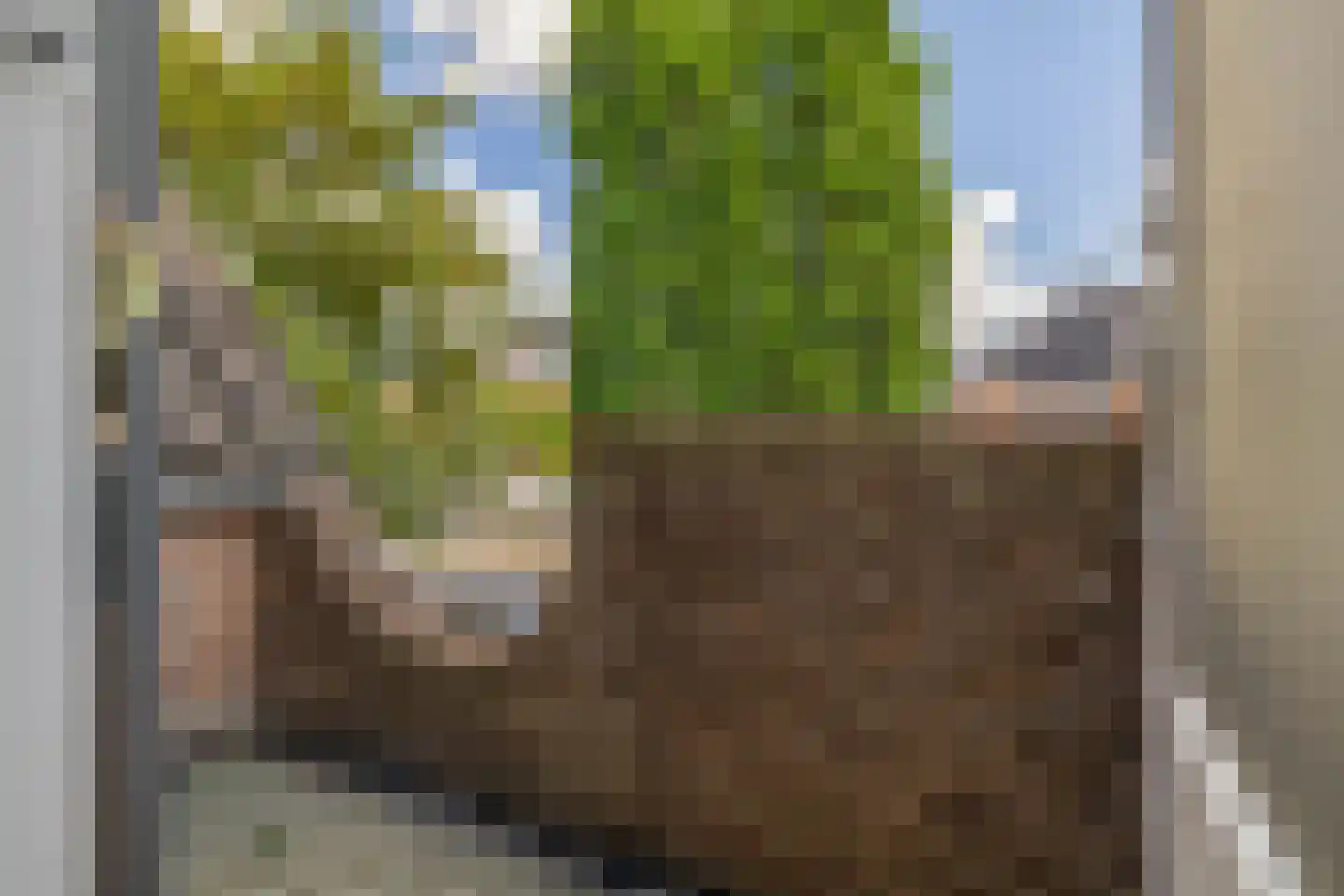 Bodelolaan 25 Bodegraven thumbnail 36