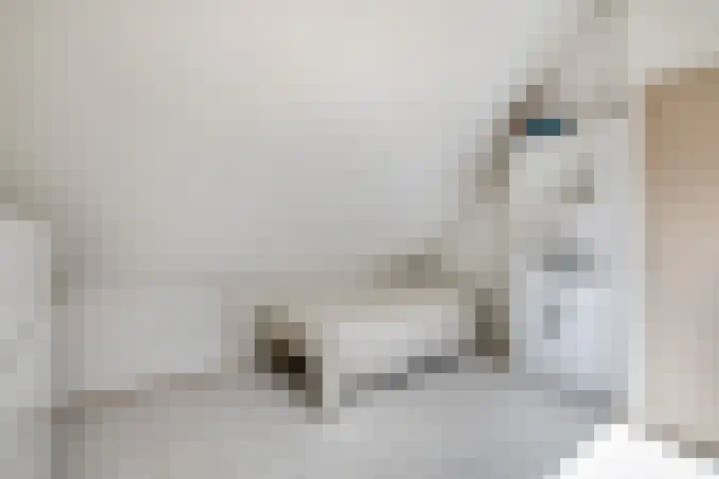 Bodelolaan 25 Bodegraven thumbnail 39