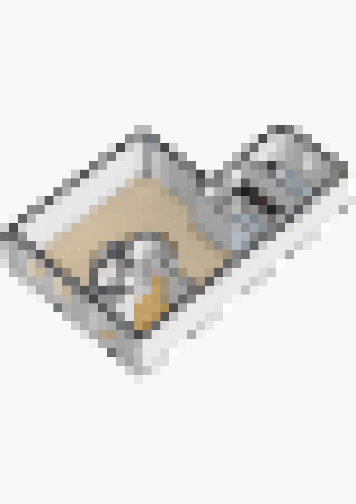 Bodelolaan 25 Bodegraven thumbnail 44