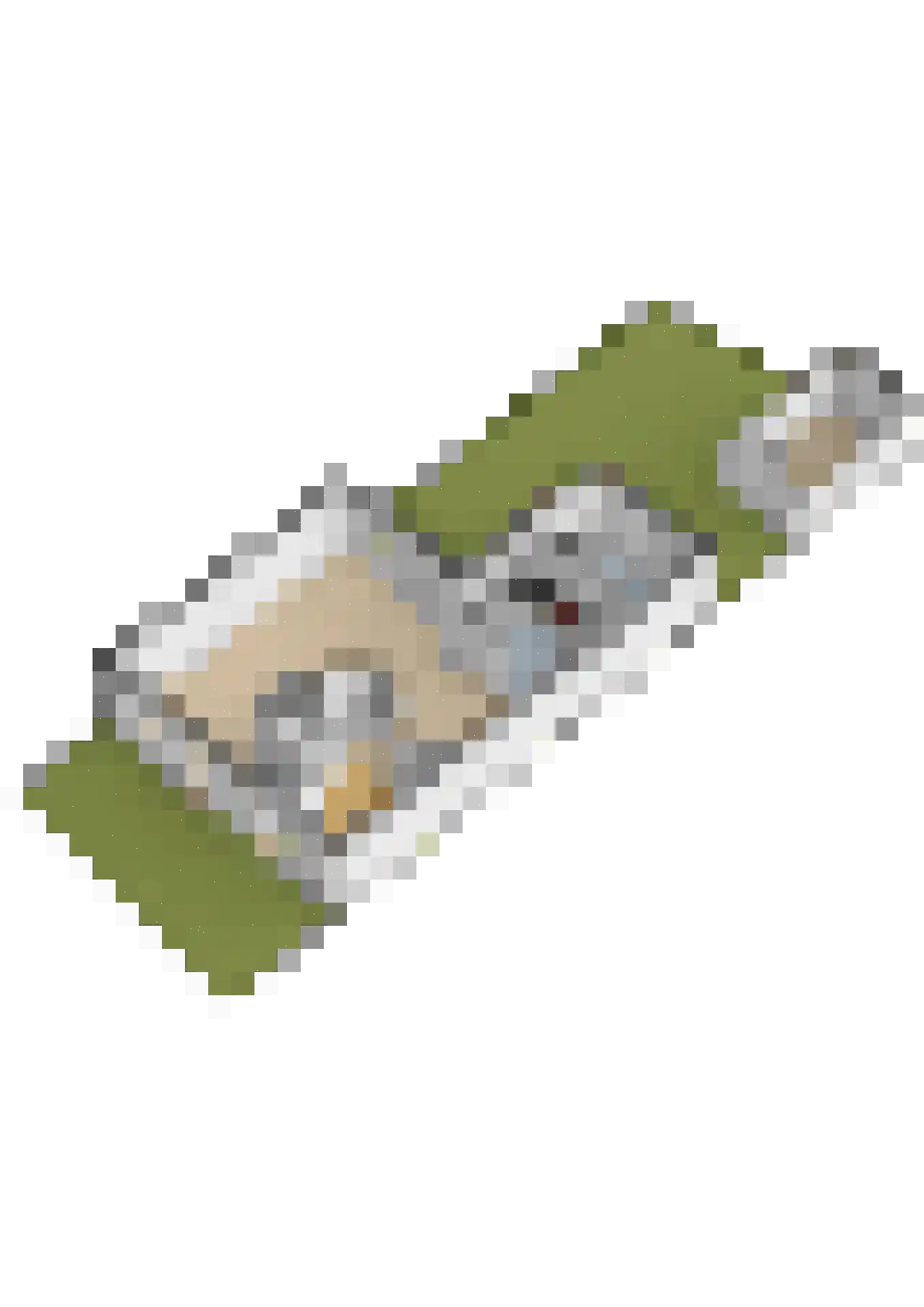 Bodelolaan 25 Bodegraven thumbnail 52