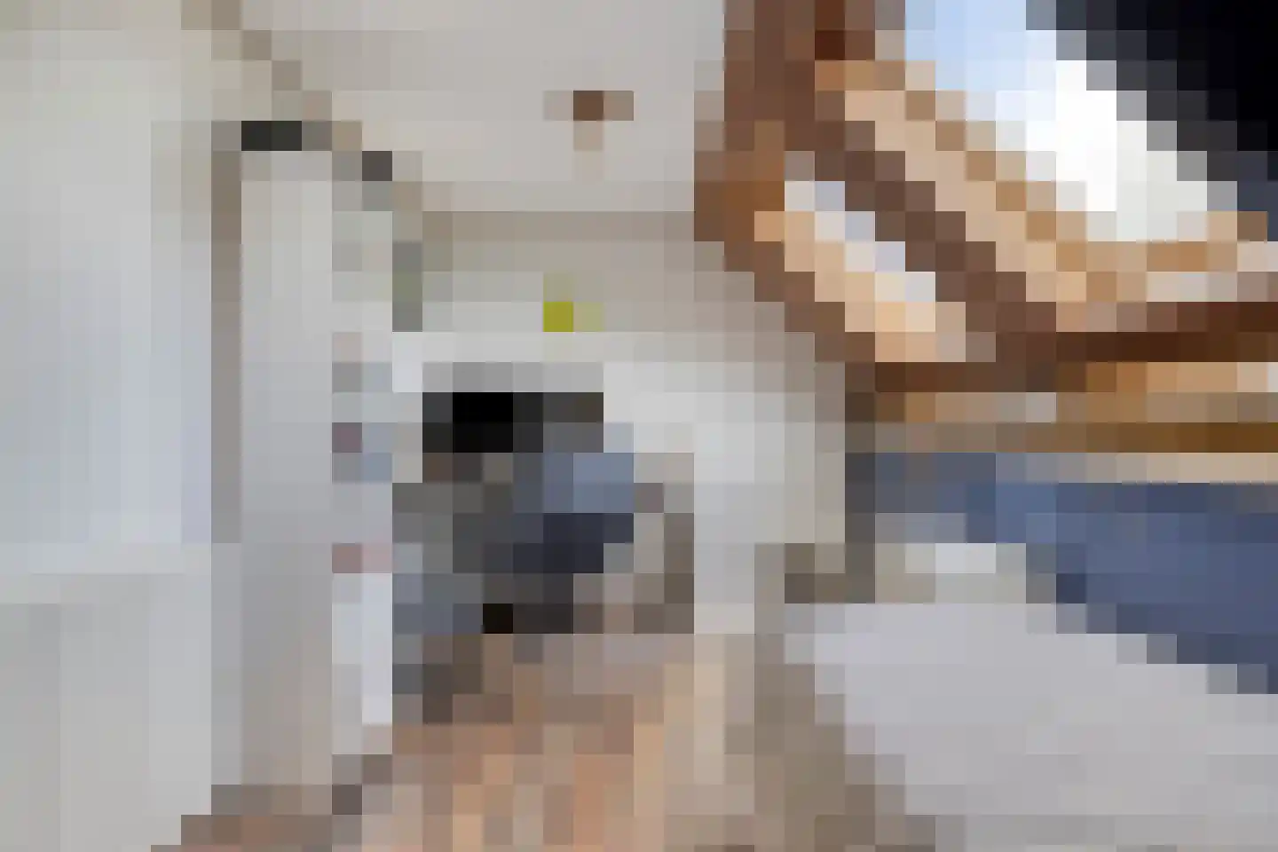 Bodem van Elde 9 A Gemonde thumbnail 40