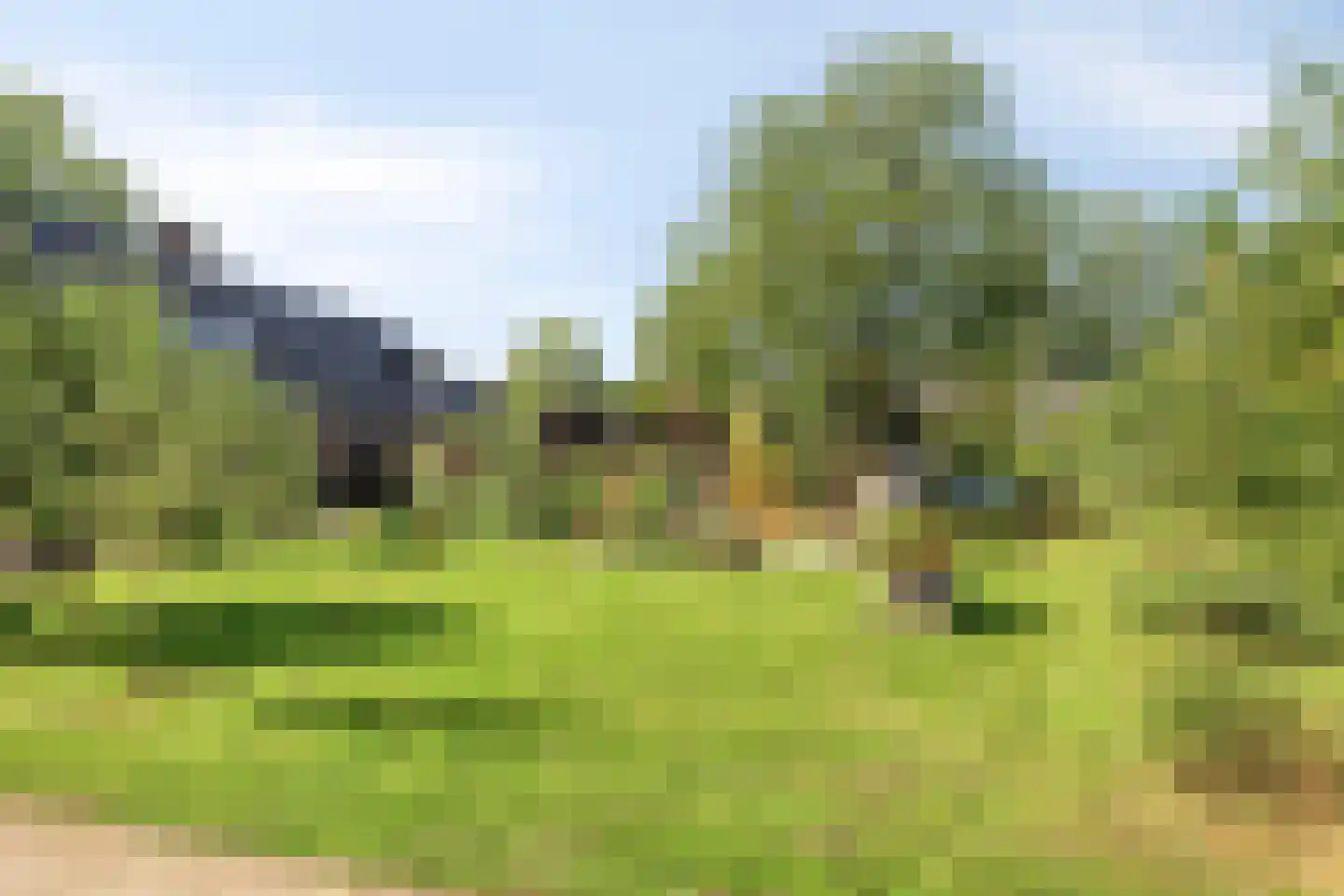 Bodem van Elde 9 A Gemonde thumbnail 55