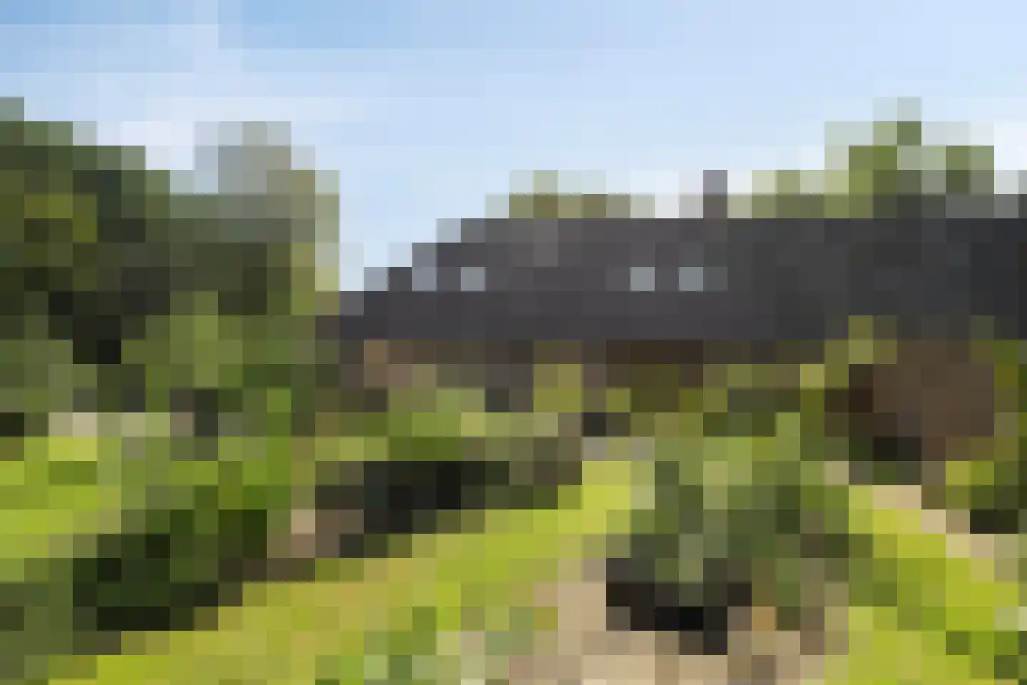 Bodem van Elde 9 A Gemonde thumbnail 57