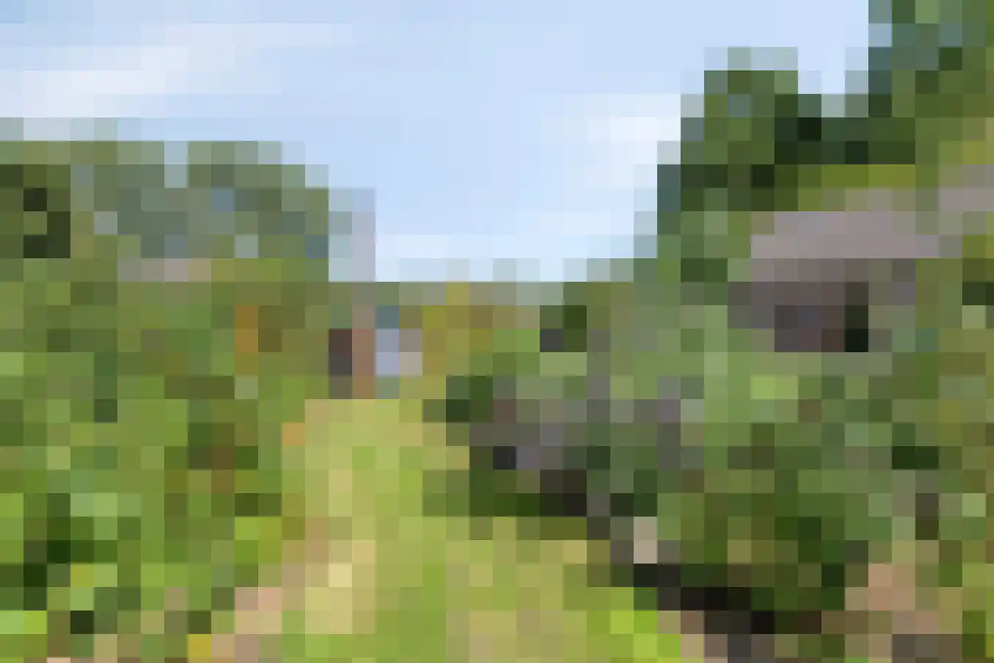 Bodem van Elde 9 A Gemonde thumbnail 59