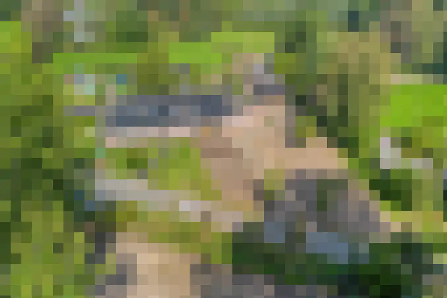 Bodem van Elde 9 A Gemonde thumbnail 6