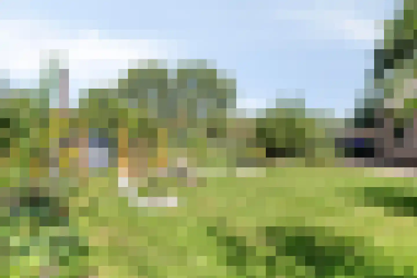 Bodem van Elde 9 A Gemonde thumbnail 60