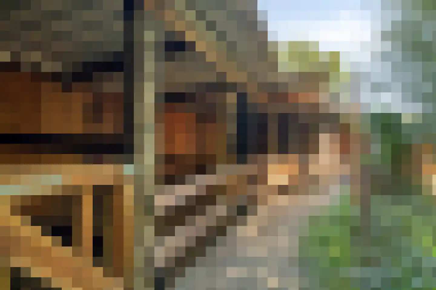 Bodem van Elde 9 A Gemonde thumbnail 63