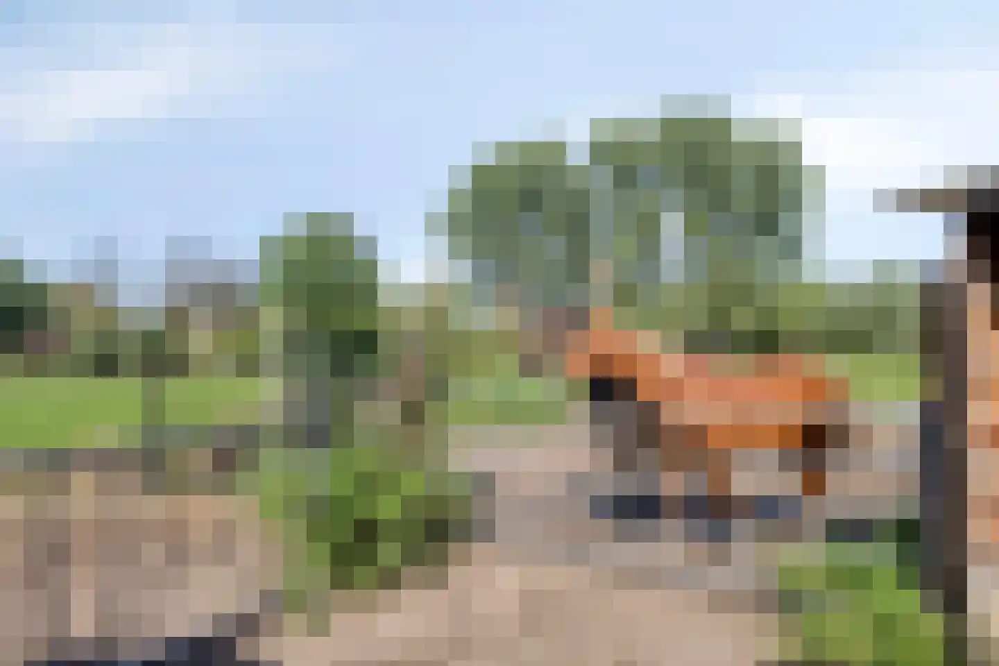 Bodem van Elde 9 A Gemonde thumbnail 64