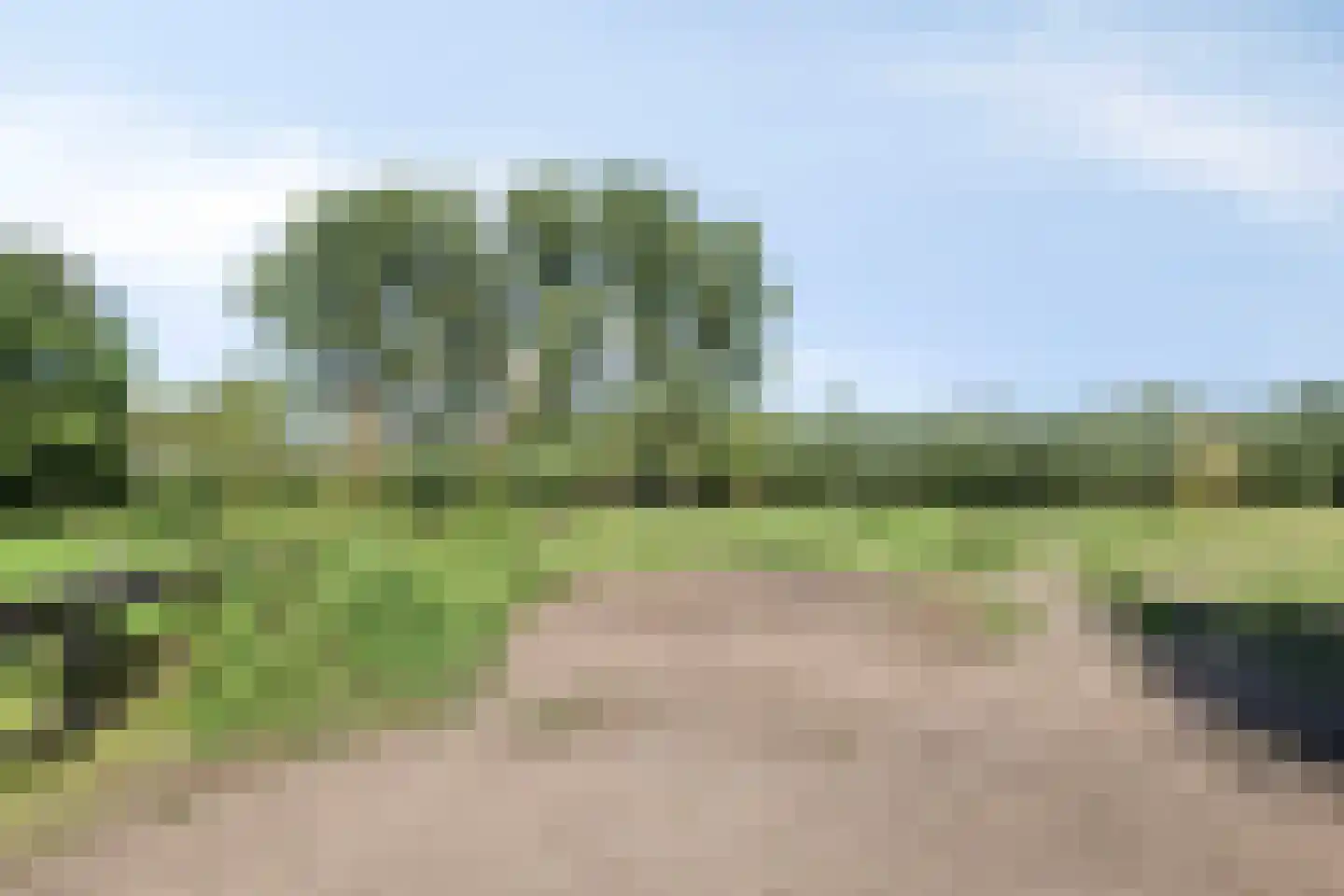 Bodem van Elde 9 A Gemonde thumbnail 65