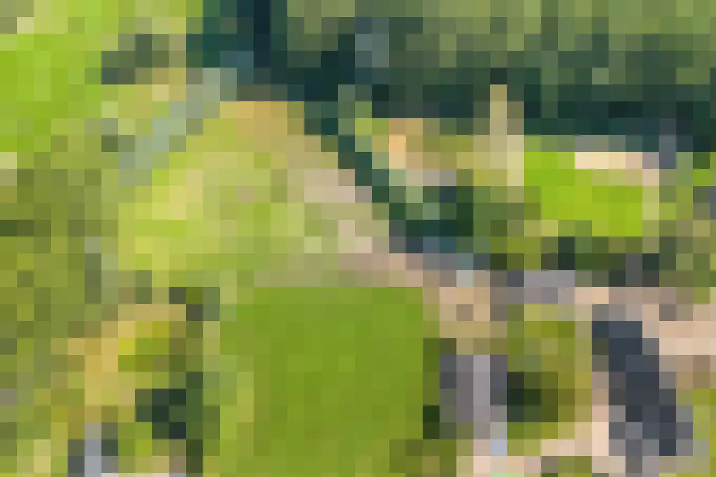 Bodem van Elde 9 A Gemonde thumbnail 79