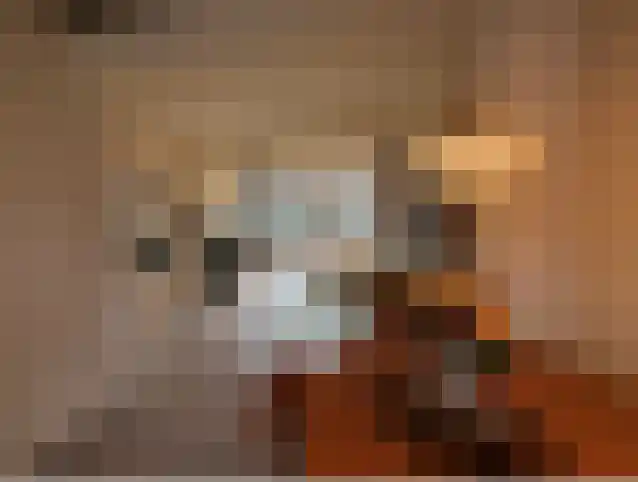 Bodemanstraat 19 Hilversum foto 3
