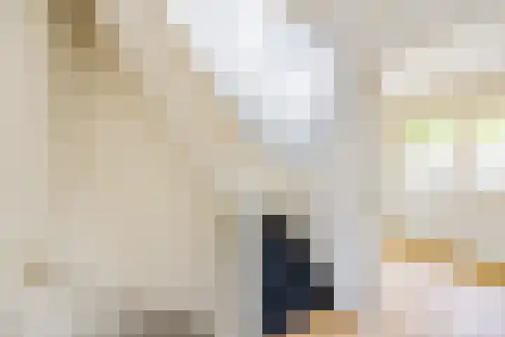 Bodemanstraat 40 Hilversum thumbnail 12