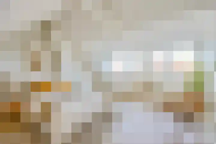 Bodemanstraat 40 Hilversum thumbnail 26