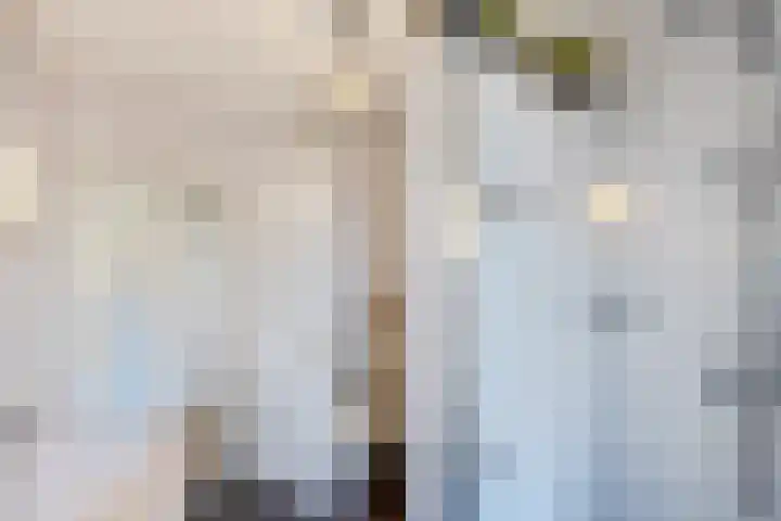 Bodemanstraat 62 Hilversum thumbnail 38