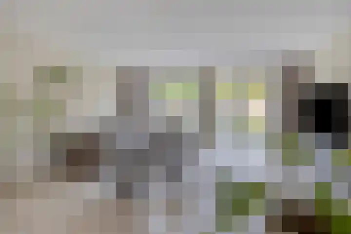 Bodemmes 10 Best thumbnail 10