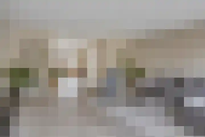Bodemmes 10 Best thumbnail 11