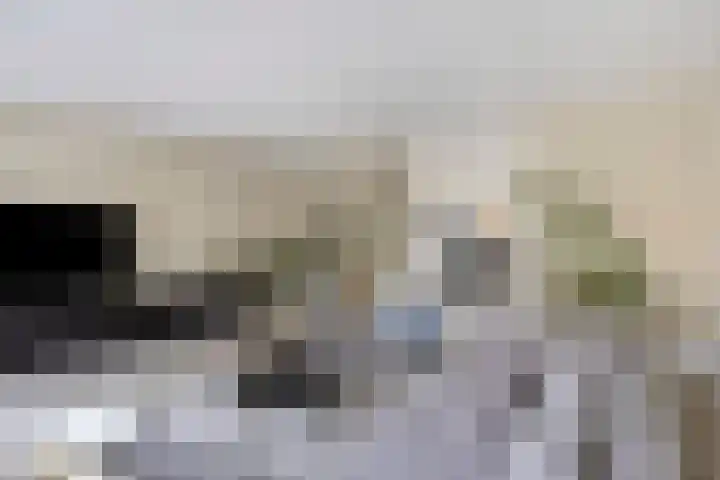 Bodemmes 10 Best thumbnail 12