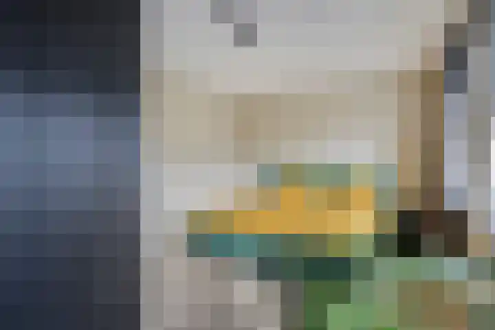 Bodemmes 10 Best thumbnail 22