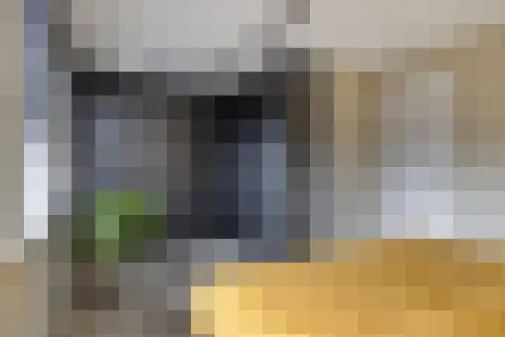 Bodemmes 10 Best thumbnail 23