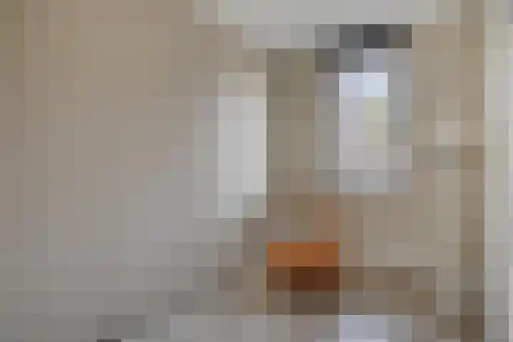 Bodemmes 10 Best thumbnail 29
