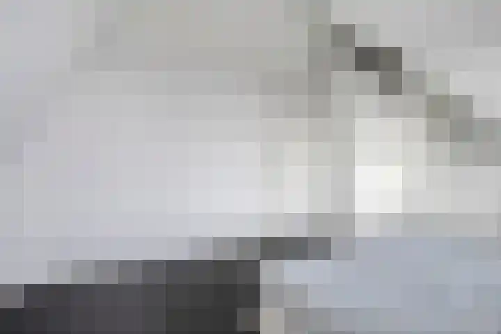 Bodemmes 10 Best thumbnail 32