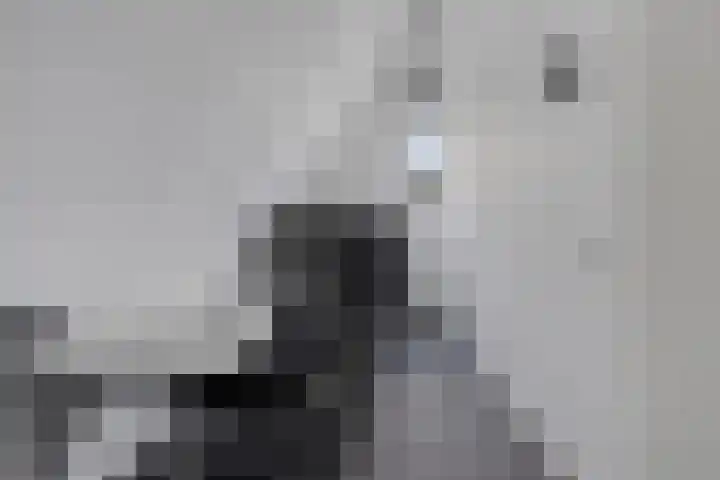 Bodemmes 10 Best thumbnail 33