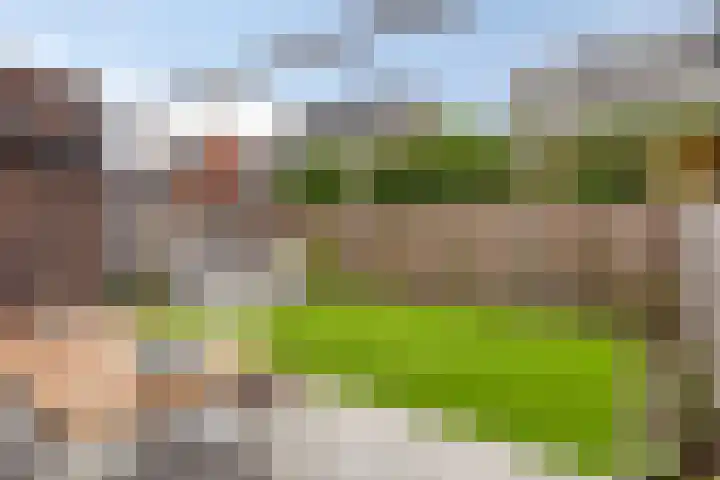Bodemmes 10 Best thumbnail 35