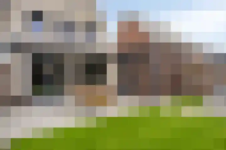 Bodemmes 10 Best thumbnail 36