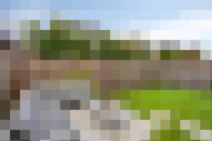 Bodemmes 10 Best thumbnail 37