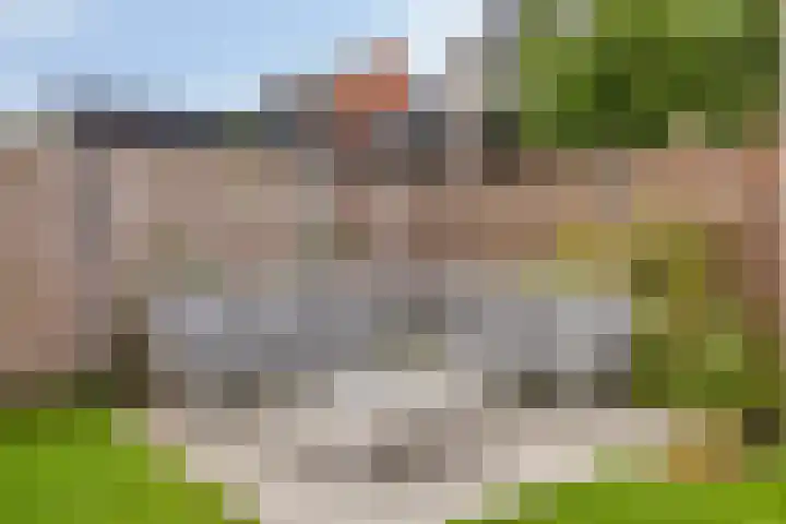 Bodemmes 10 Best thumbnail 38