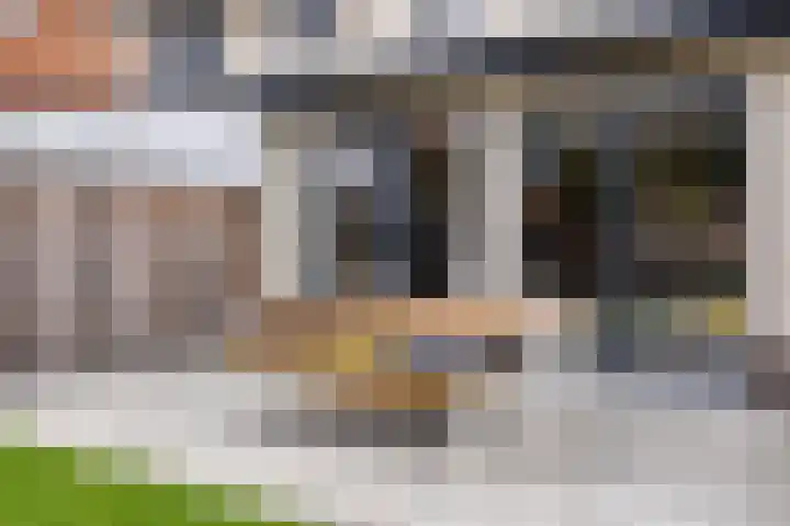 Bodemmes 10 Best thumbnail 39