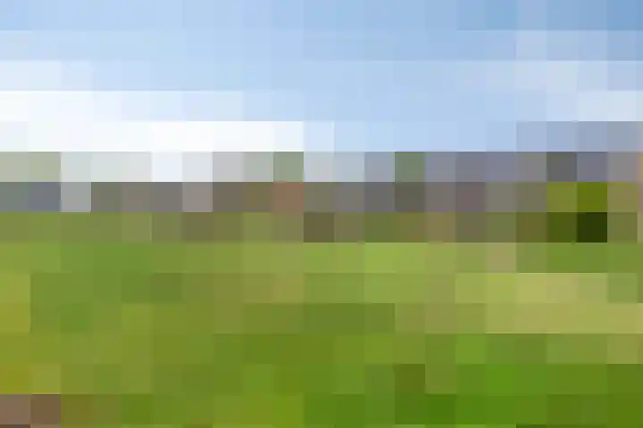Bodemmes 10 Best thumbnail 42