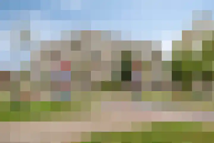 Bodemmes 10 Best thumbnail 43