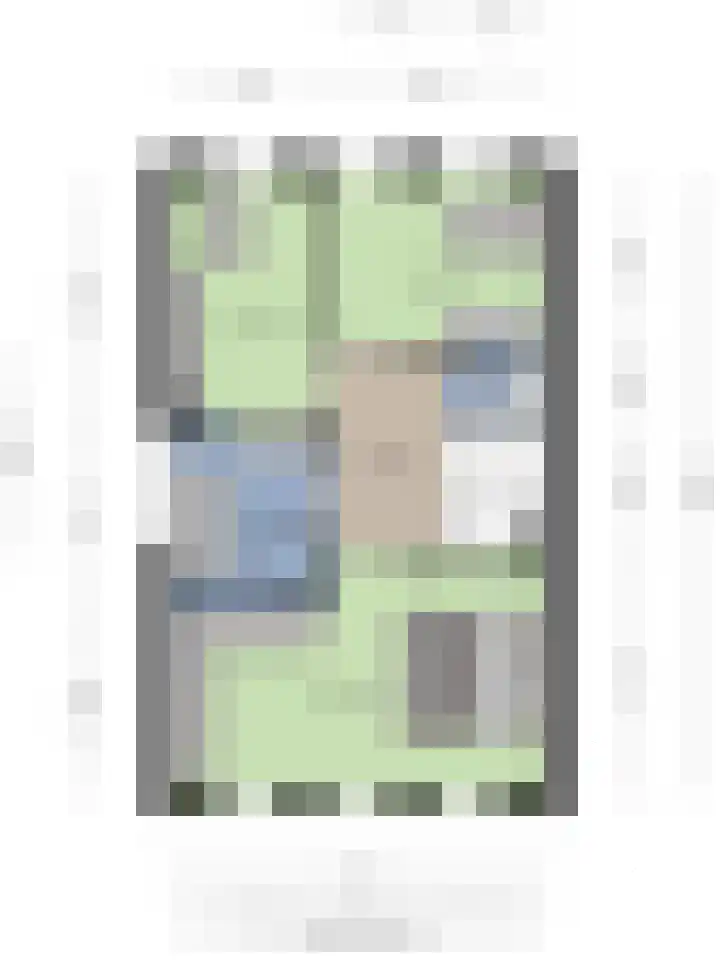 Bodemmes 10 Best thumbnail 48