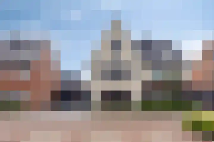 Bodemmes 10 Best thumbnail 5